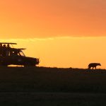 game drive sunset masai mara 1 scaled
