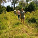 nature walks masai mara