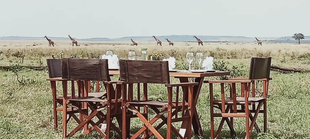 sundowns masai mara2